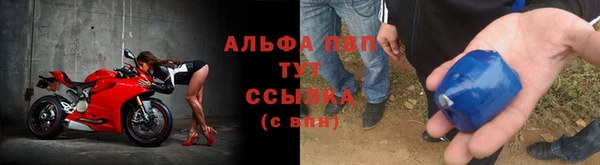 ГАЛЛЮЦИНОГЕННЫЕ ГРИБЫ Волосово
