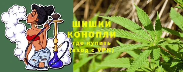 ГАЛЛЮЦИНОГЕННЫЕ ГРИБЫ Волосово