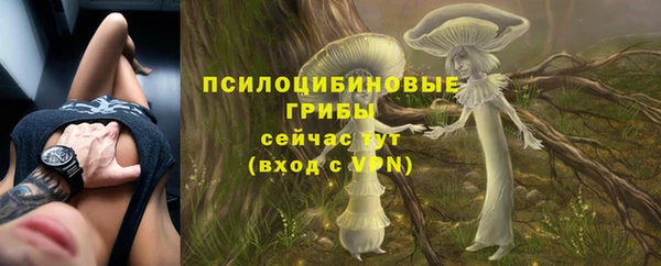ГАЛЛЮЦИНОГЕННЫЕ ГРИБЫ Володарск