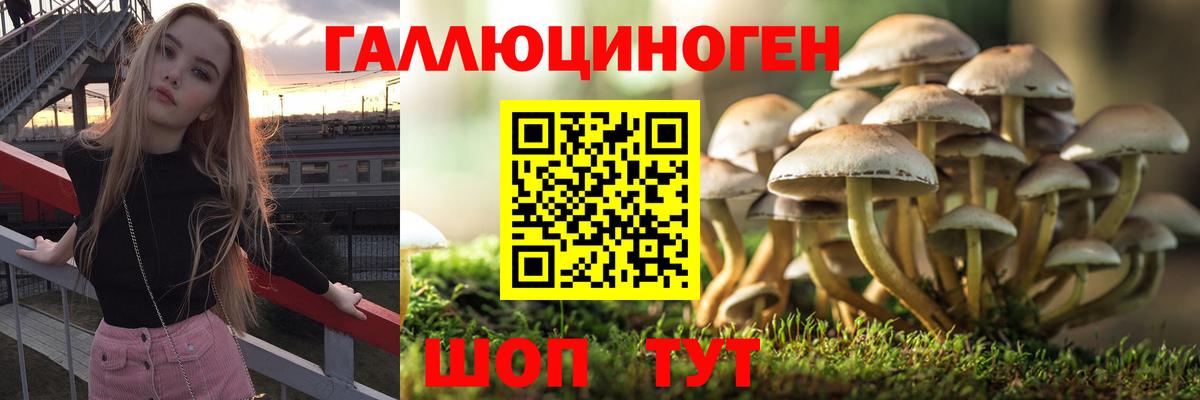 Галлюциногенные грибы прущие грибы  Вход с VPN  Мончегорск 